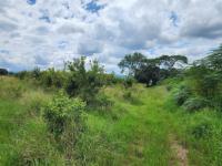  of property in Makhado (Louis Trichard)
