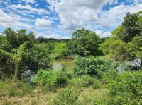 of property in Makhado (Louis Trichard)