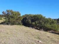  of property in Bergsig