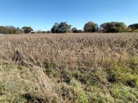 Land for Sale for sale in Amsterdam