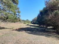  of property in Bergsig