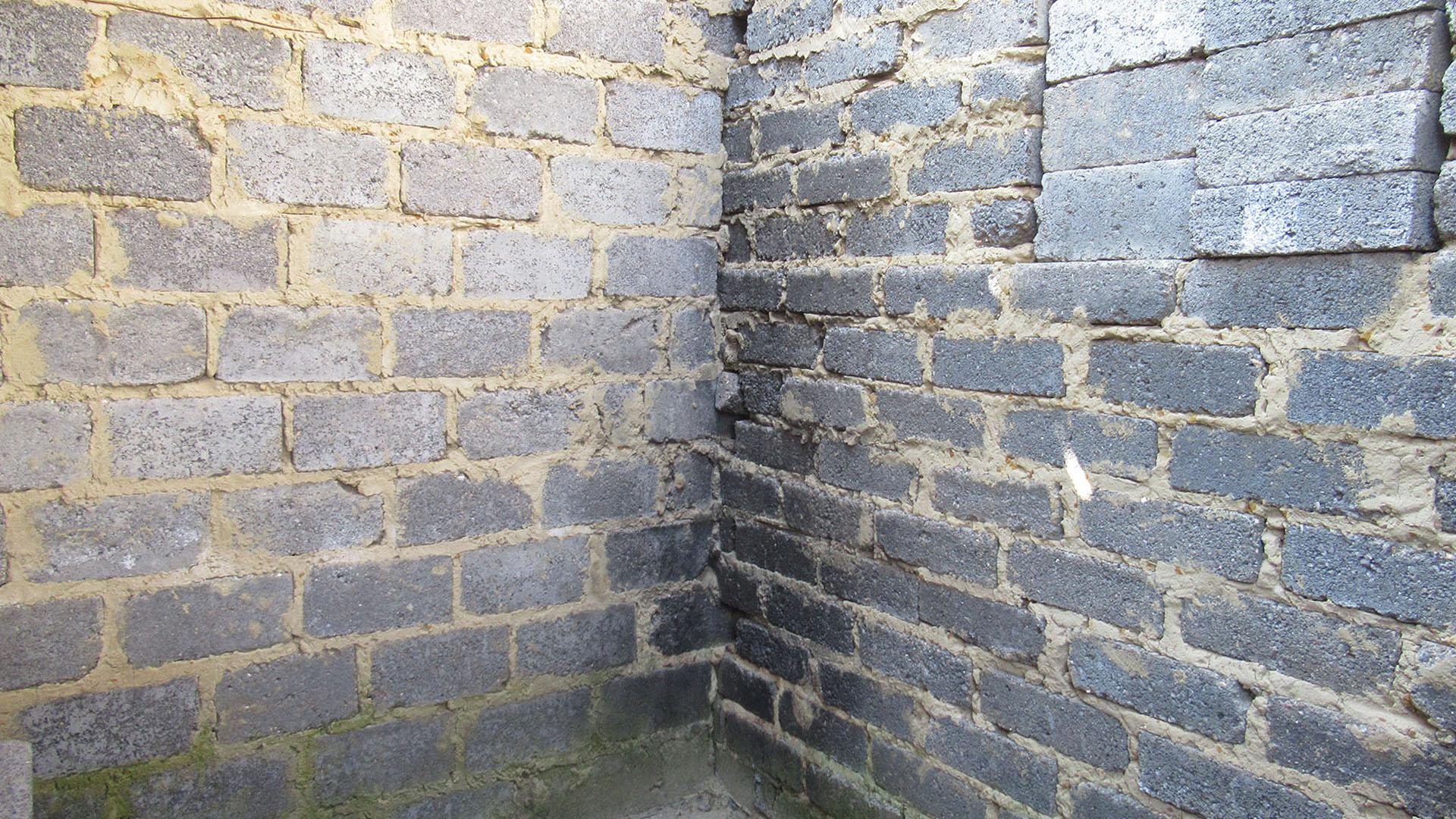 Main Bathroom - 3 square meters of property in Lenasia South