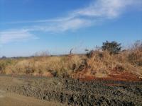  of property in Makhado (Louis Trichard)