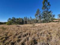  of property in Polokwane