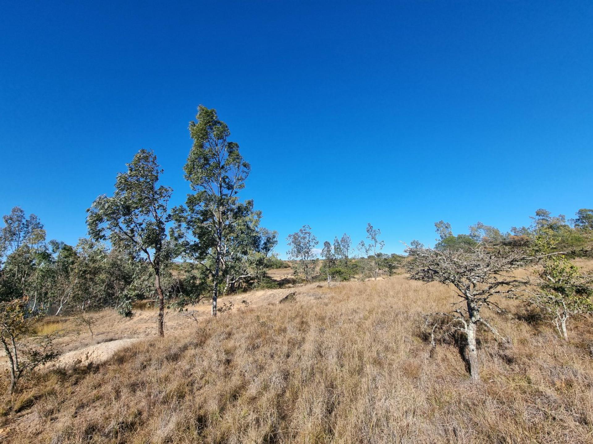  of property in Polokwane