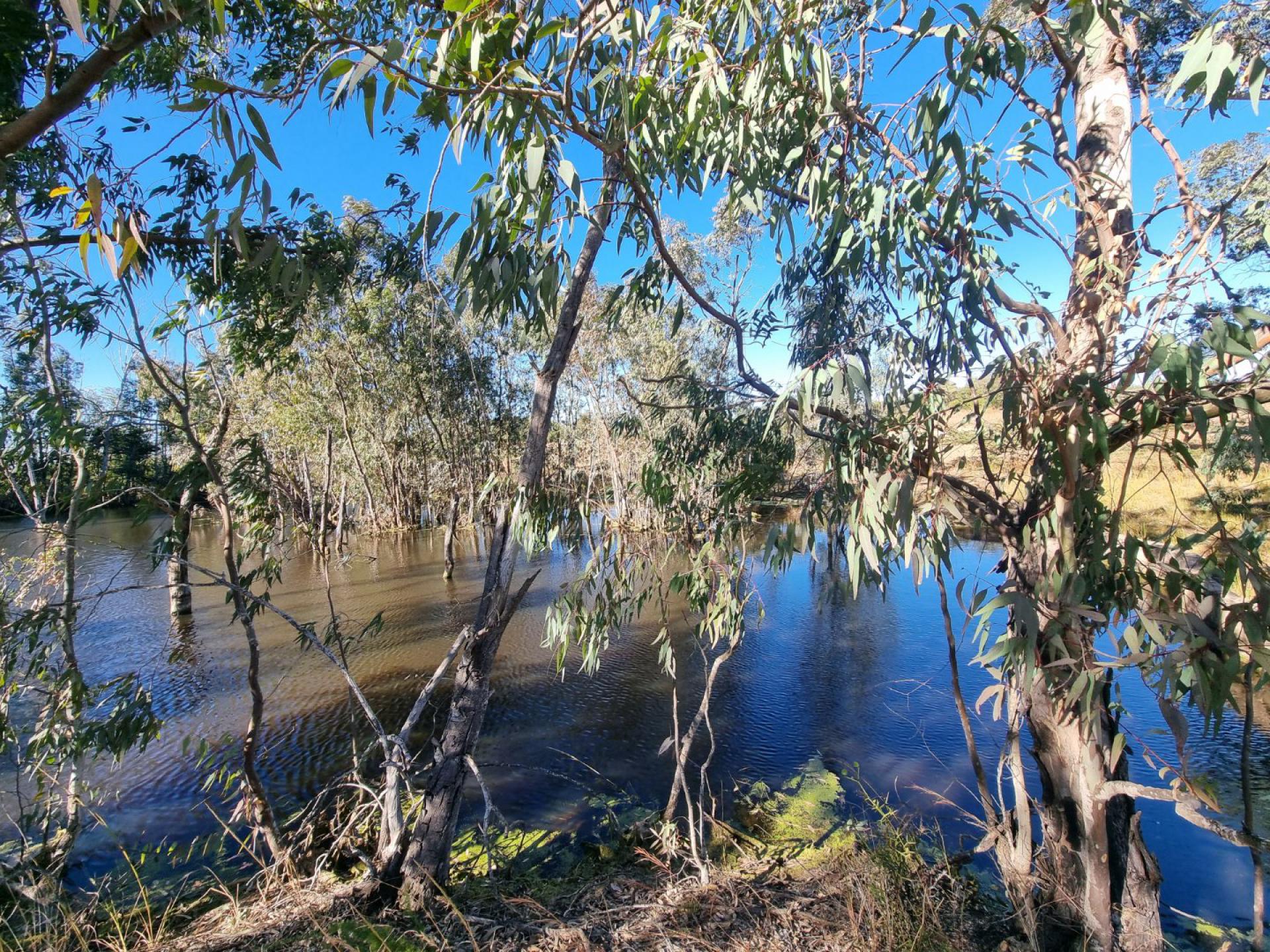  of property in Polokwane