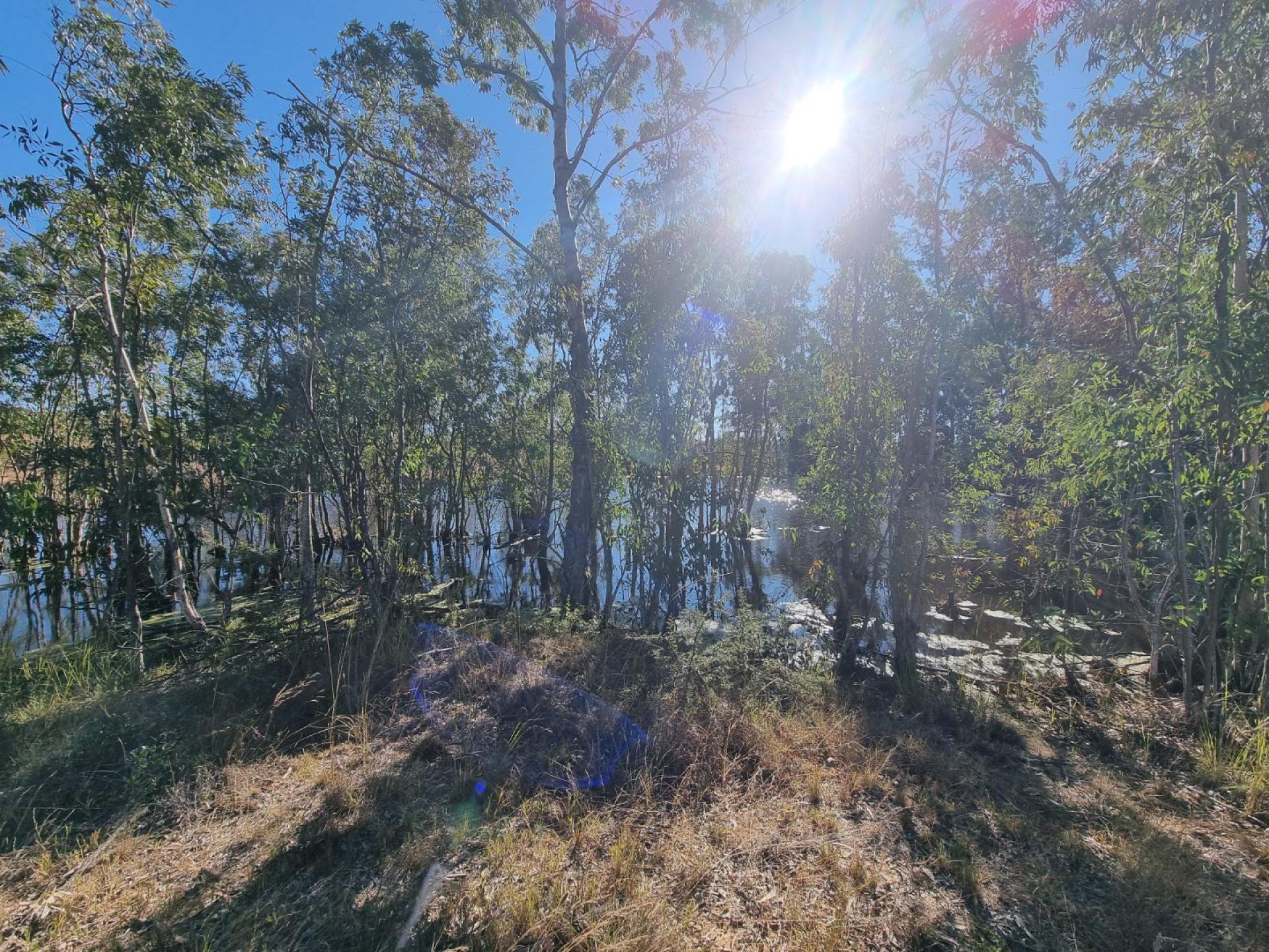  of property in Polokwane