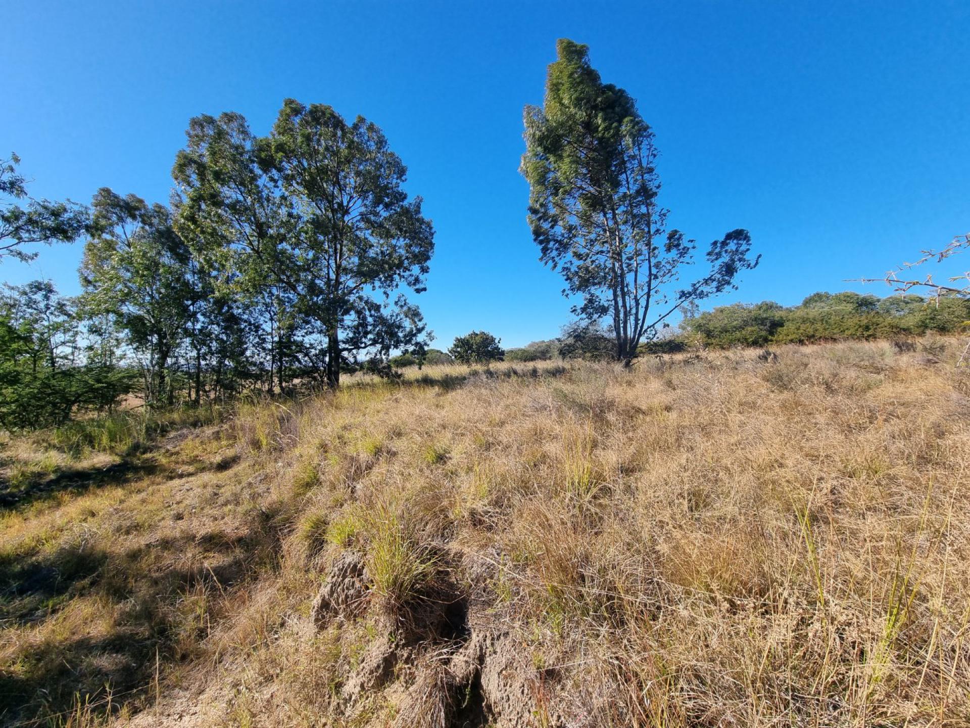  of property in Polokwane