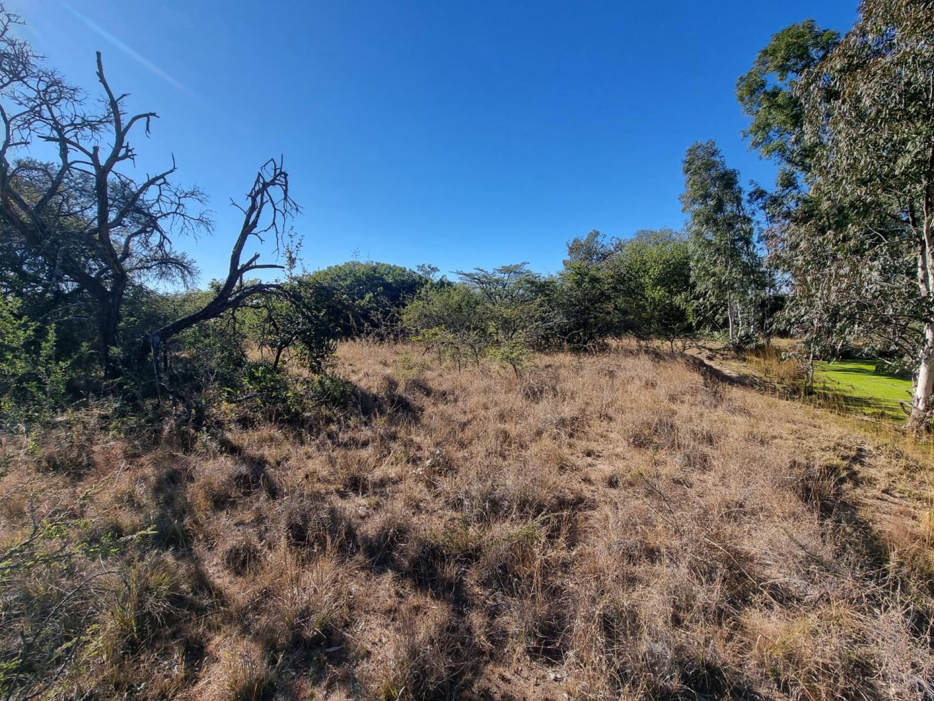  of property in Polokwane