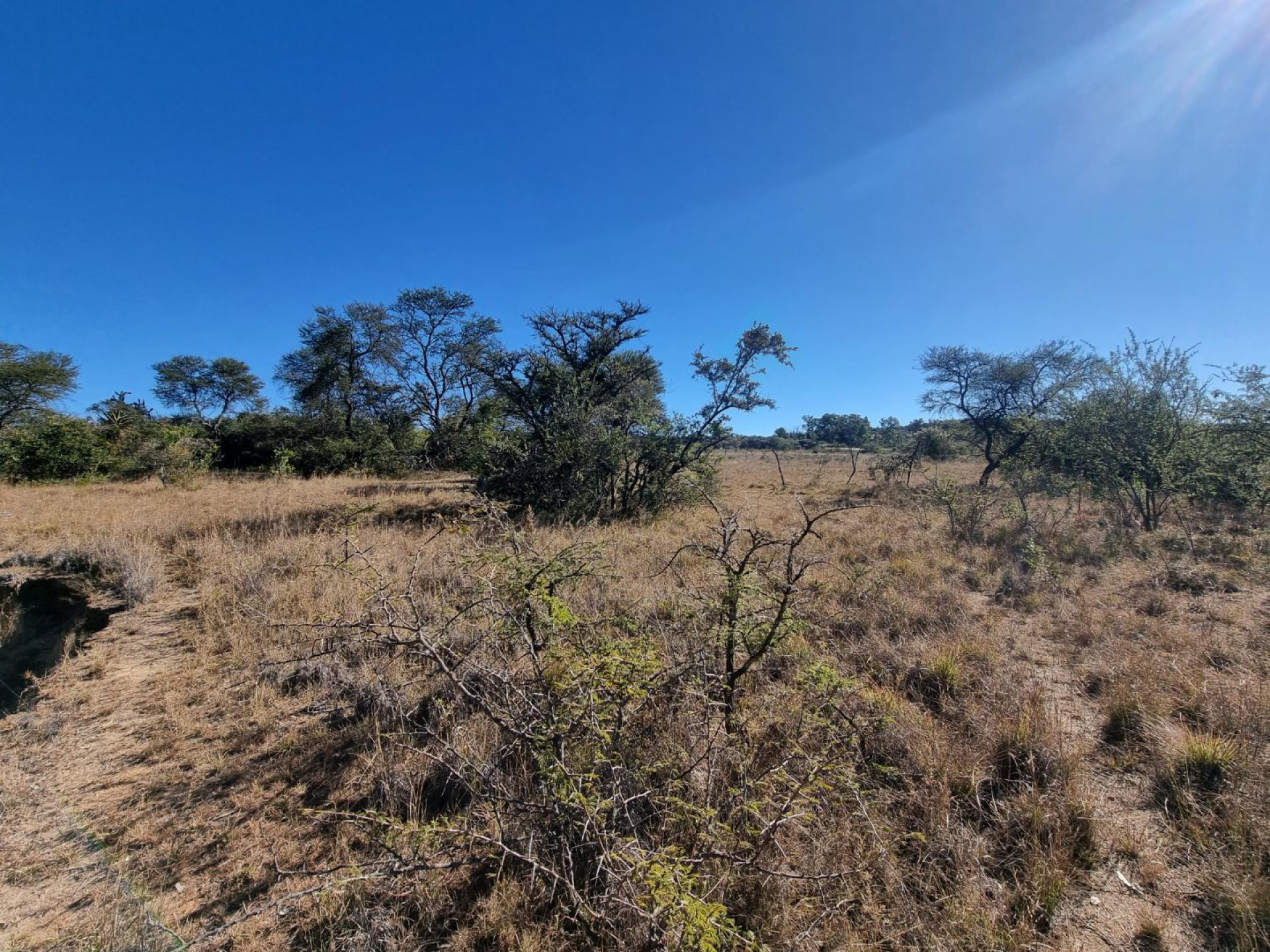  of property in Polokwane