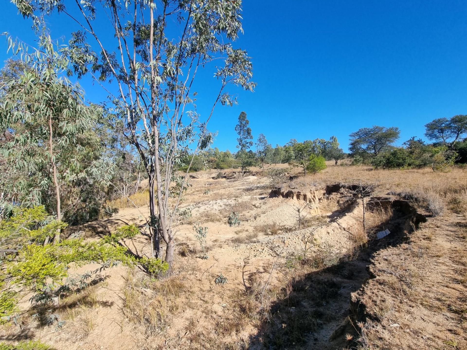  of property in Polokwane