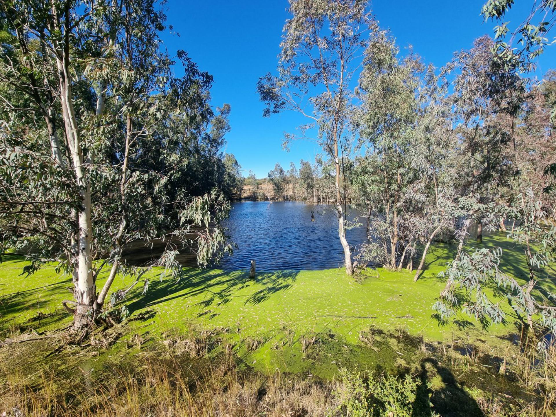  of property in Polokwane