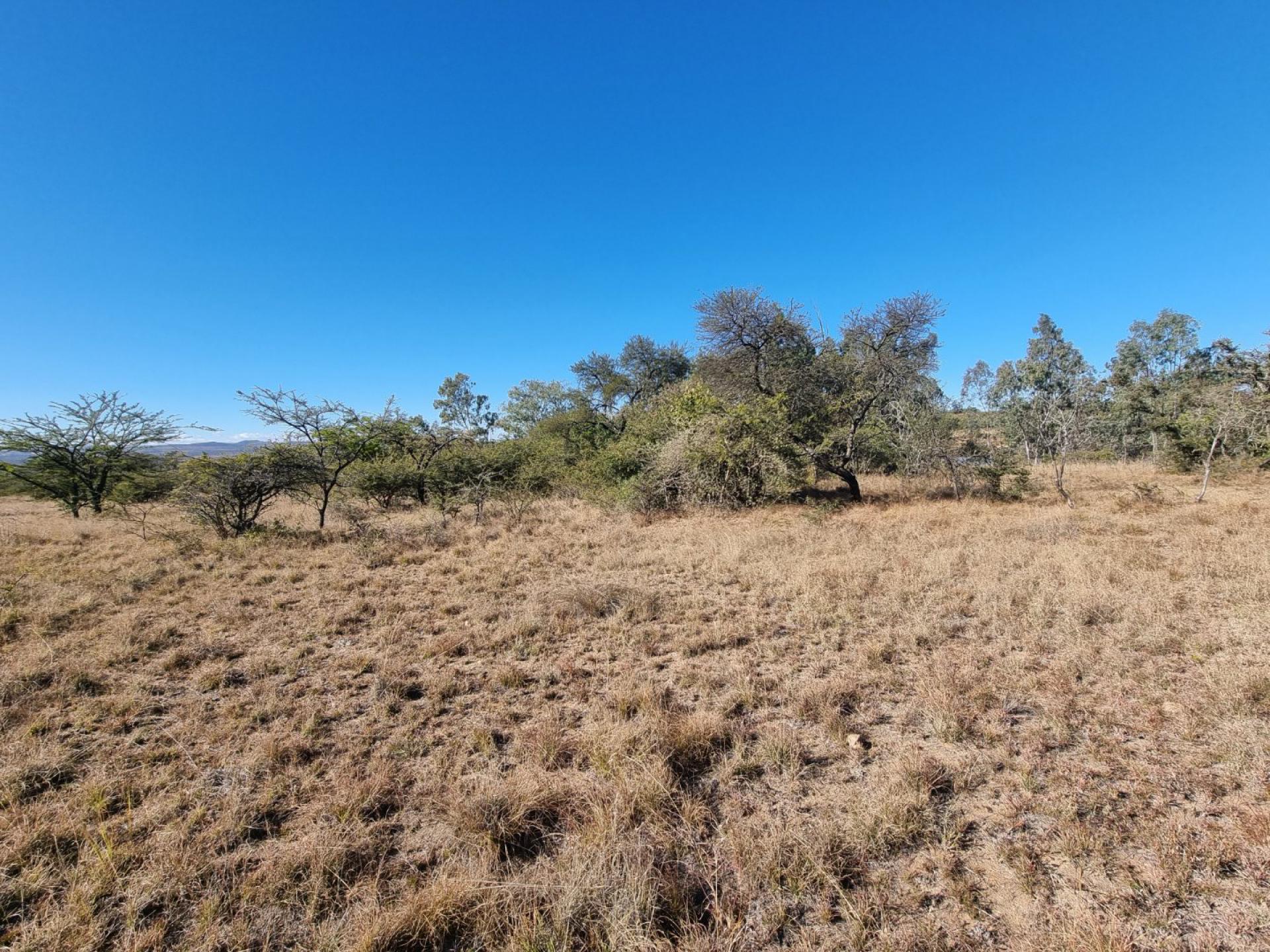  of property in Polokwane