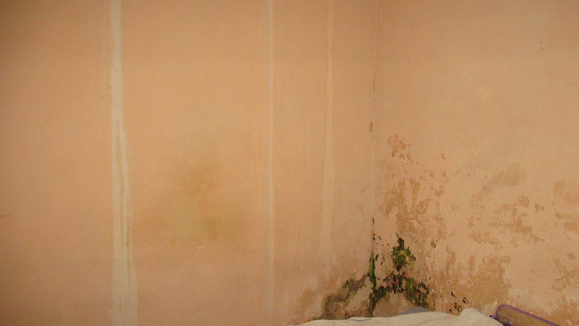 Bed Room 3 - 7 square meters of property in Protea Glen