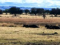  of property in Rustenburg