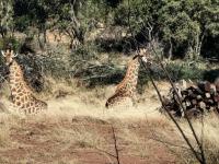  of property in Rustenburg