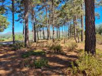  of property in Bot River
