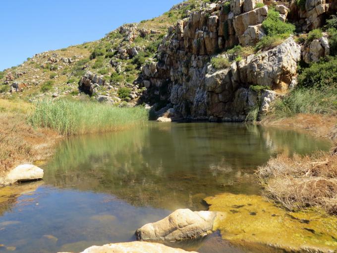 Farm for Sale For Sale in Swellendam - MR682801