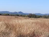  of property in Marikana