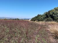  of property in Marikana