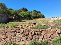 of property in Cashan