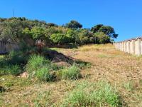  of property in Cashan