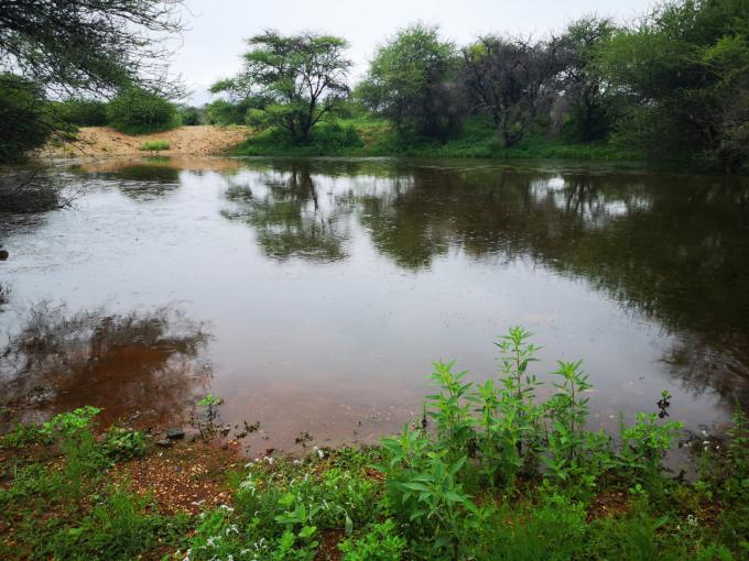 Farm for Sale For Sale in Polokwane - MR683094