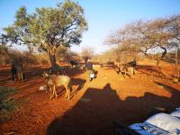  of property in Polokwane