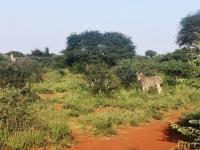  of property in Polokwane