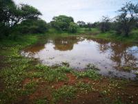  of property in Polokwane