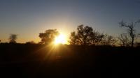  of property in Polokwane