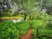  of property in Polokwane