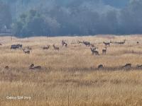  of property in Hartbeespoort