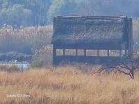  of property in Hartbeespoort