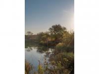  of property in Hoedspruit