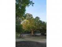 of property in Hoedspruit