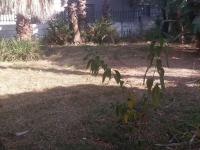  of property in Rietfontein