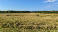 Spaces of property in Kenton On Sea