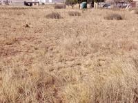 of property in Jameson Park