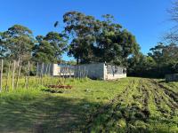  of property in East London