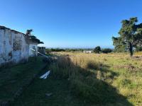  of property in East London