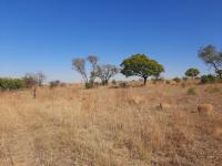  of property in Pyramid