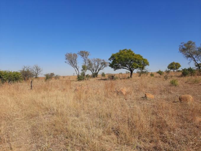 Land for Sale For Sale in Pyramid - MR683514