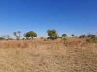  of property in Pyramid