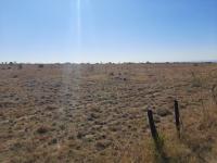  of property in Pyramid