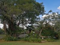  of property in Cashan