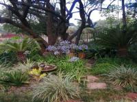  of property in Cashan