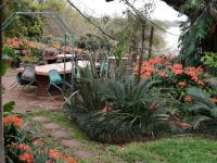  of property in Makhado (Louis Trichard)