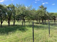  of property in Hoedspruit