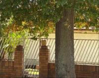 Front View of property in Forest Hill - JHB